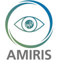 Amiris-logo.jpg